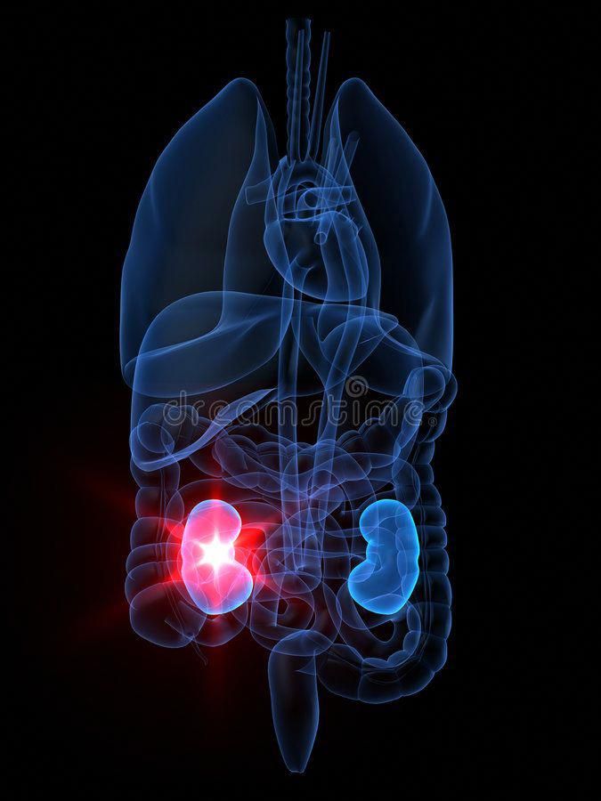 Nephrology