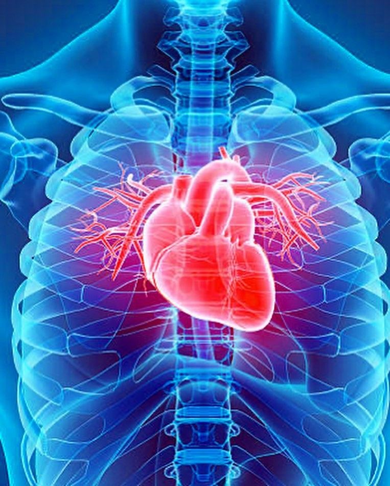Cardiology